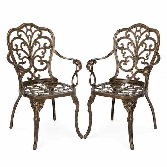 Chaises de jardin en aluminium avec accoudoirs ensemble de 2